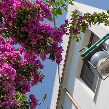 Casa Bianca: Delightful Apartment In ラヴェッロ エクステリア 写真