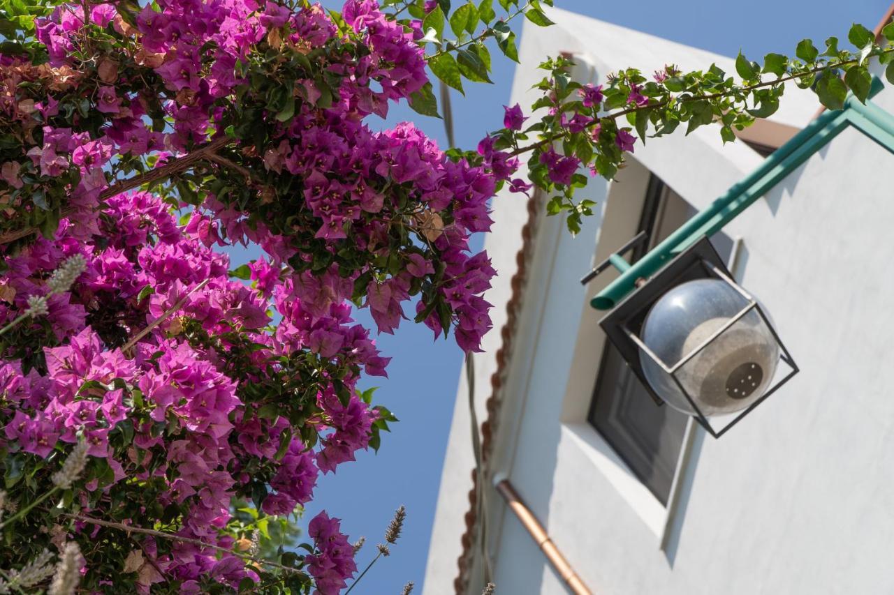 Casa Bianca: Delightful Apartment In ラヴェッロ エクステリア 写真
